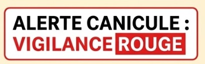 alerte rouge canicule